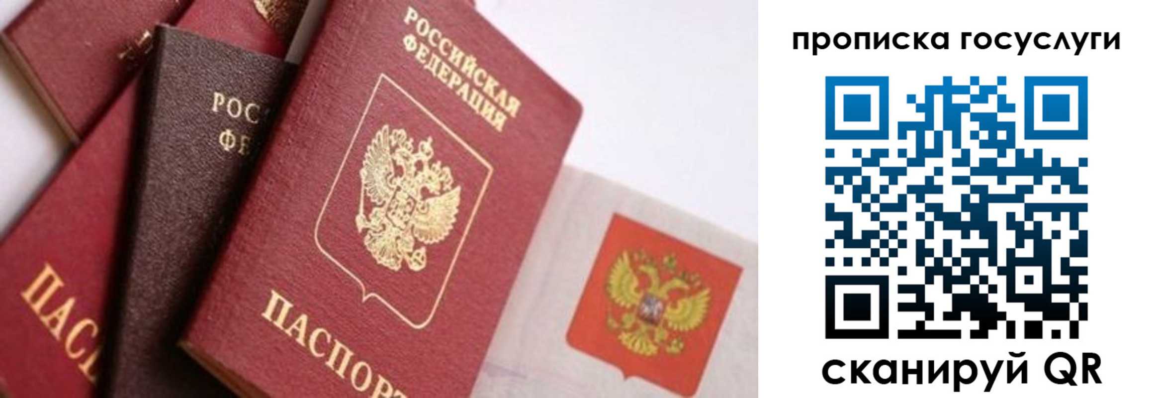 прописка законно в Юрьев-Польском